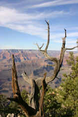 051101GrandCanyon1710.jpg (89590 bytes)