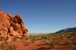 051112ValleyOfFire2688.jpg (73227 bytes)